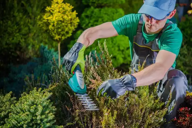landscaping services Dundee
